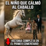 El Susurro del Destino: El Joven que Calmó al Caballo y Reclamó su Pasado